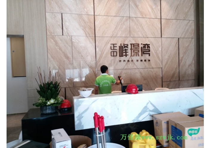 除甲醛案例-正中峰璟湾