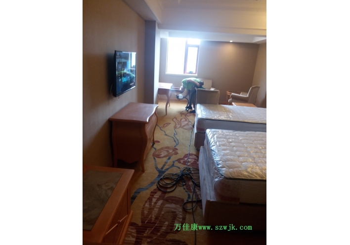 除甲醛案例-维也纳酒店